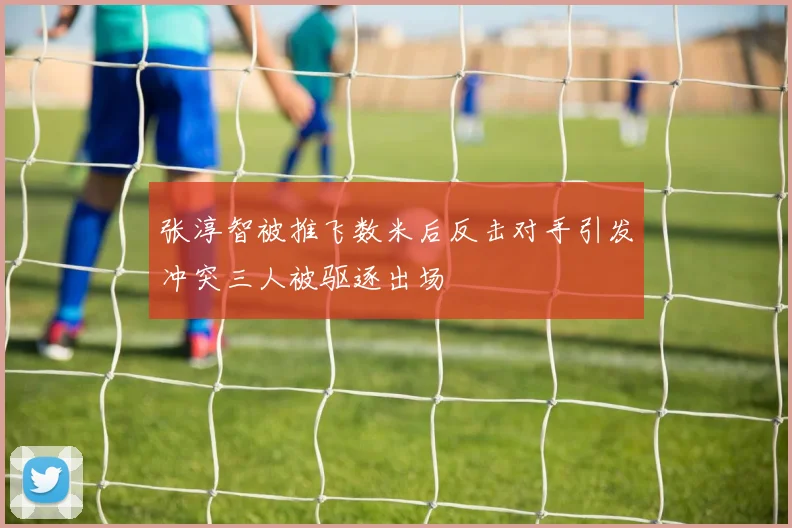 张淳智被推飞数米后反击对手引发冲突三人被驱逐出场