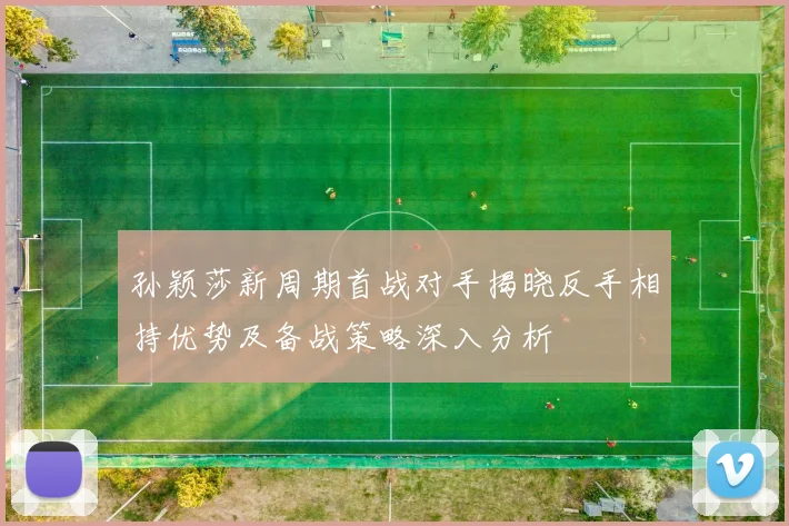 孙颖莎新周期首战对手揭晓反手相持优势及备战策略深入分析
