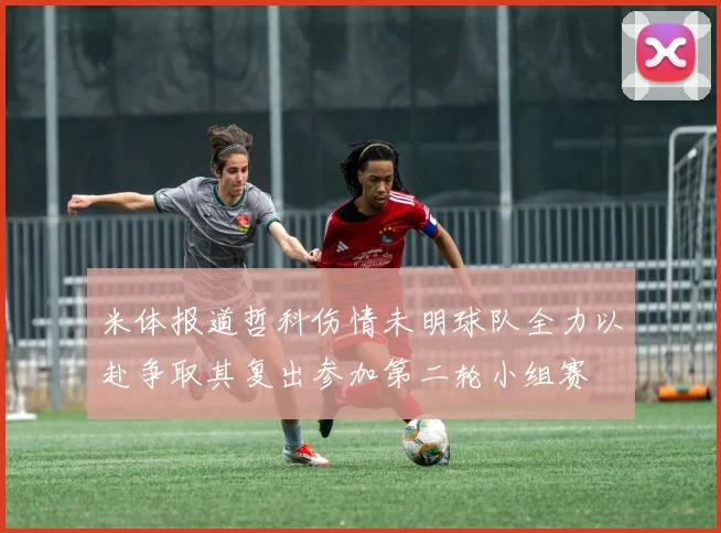 米体报道哲科伤情未明球队全力以赴争取其复出参加第二轮小组赛
